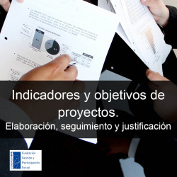 Curso de Indicadores y...